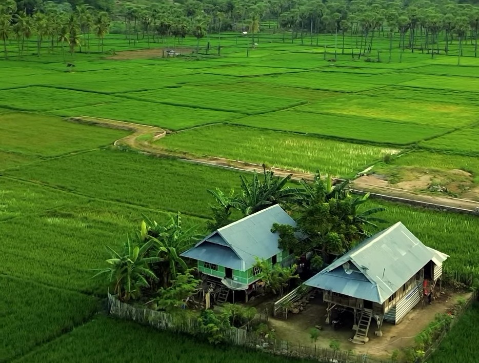 Penelitian Potensi Lahan Jadi Dasar Penentuan Komoditas Unggulan Transmigrasi Kutim