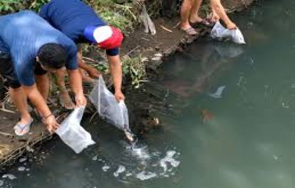 Proyek Bancakan ditengah “efisiensi” Seretnya Anggaran.  